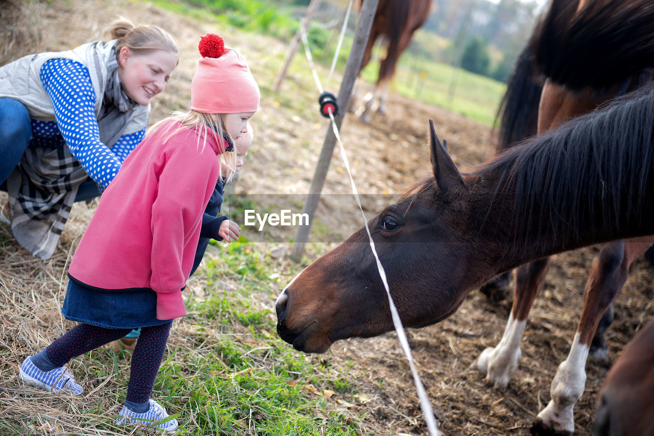 Family looking at horses in ranch