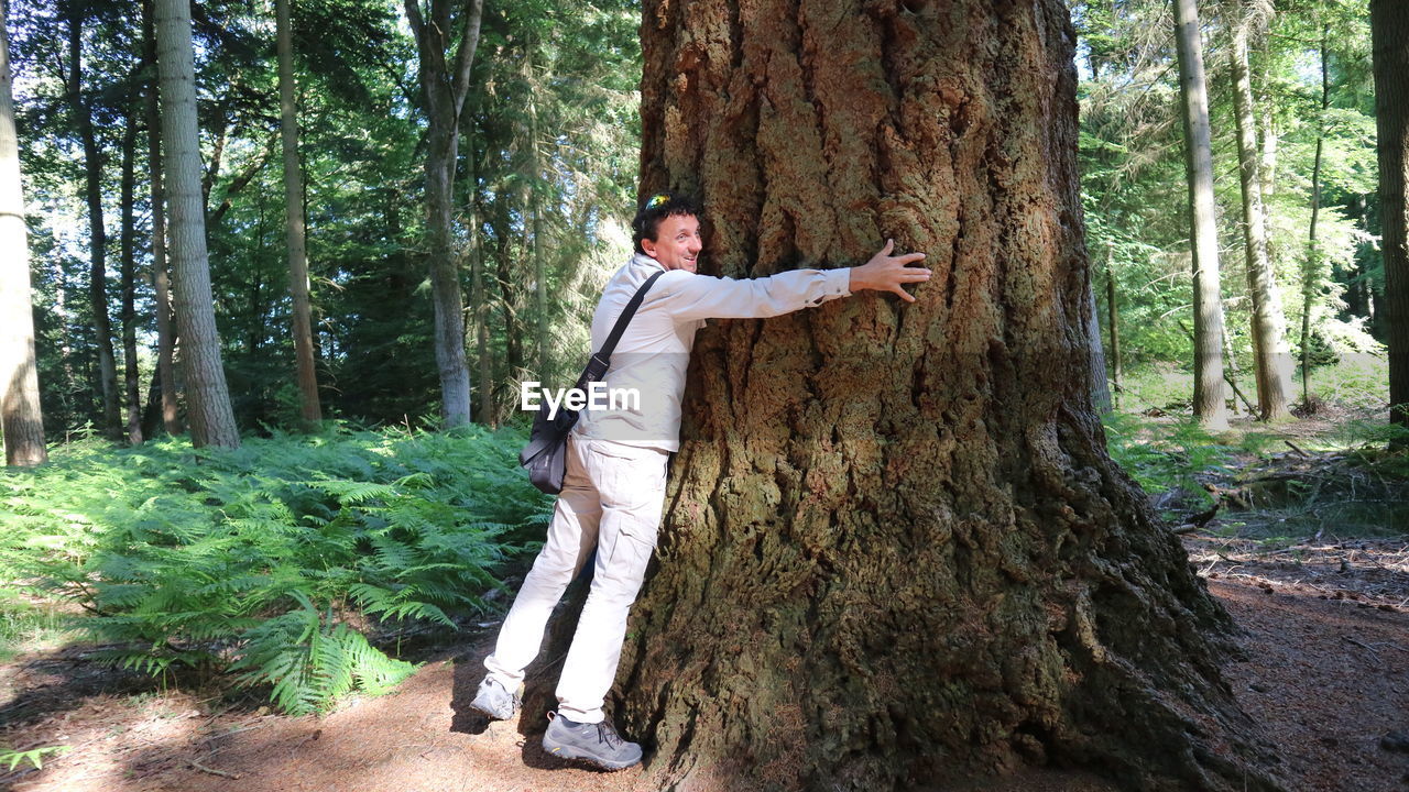 Man standing by tree trunk in forest