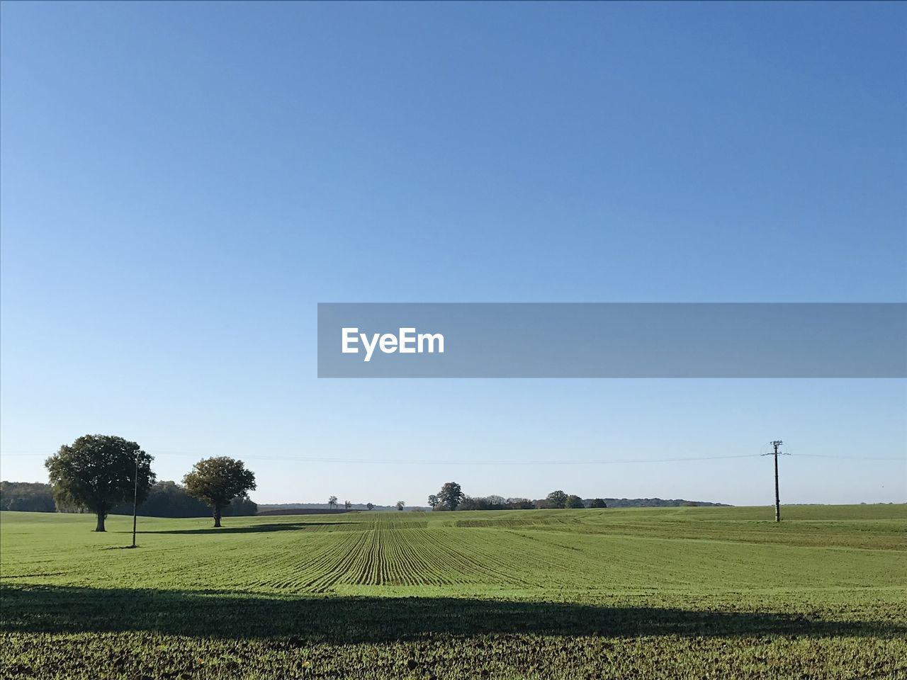 SCENIC VIEW OF FIELD AGAINST CLEAR SKY