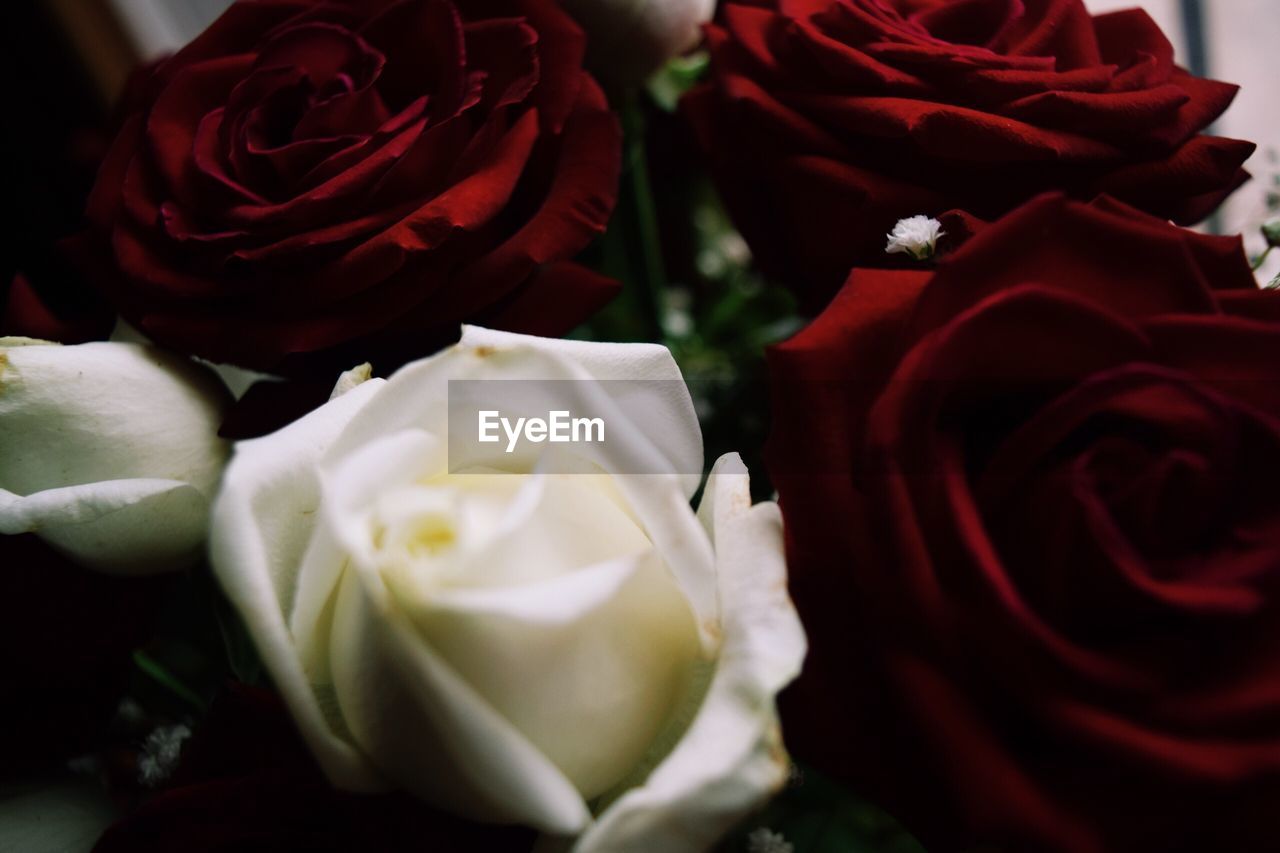 CLOSE-UP OF WHITE ROSE BOUQUET