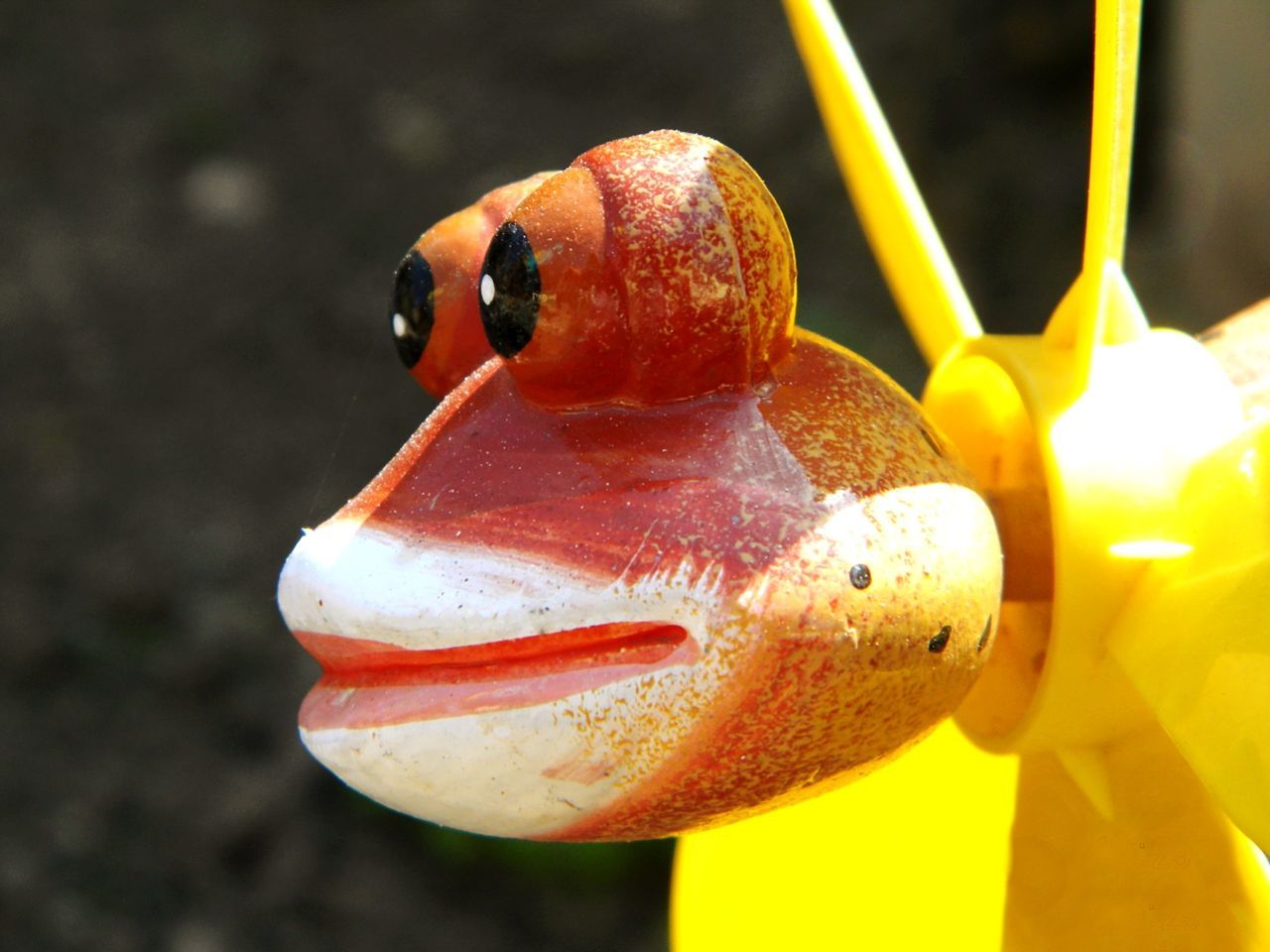 Close-up of frog shape toy
