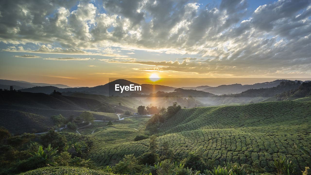 SCENIC VIEW OF FARM AGAINST SKY DURING SUNSET