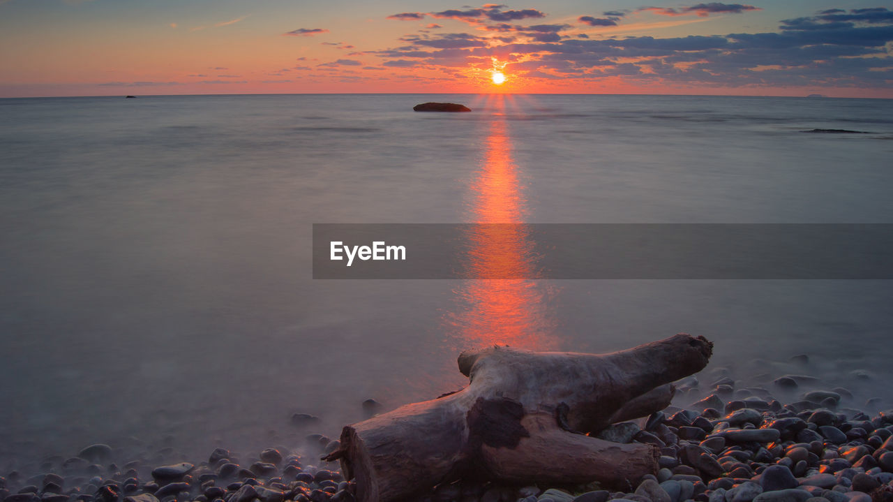 Driftwood on sea coast at sunrise