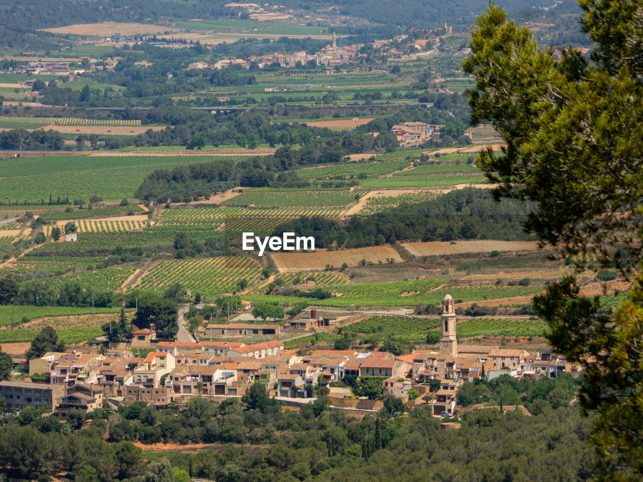 High angle view of agricultural field by houses and trees