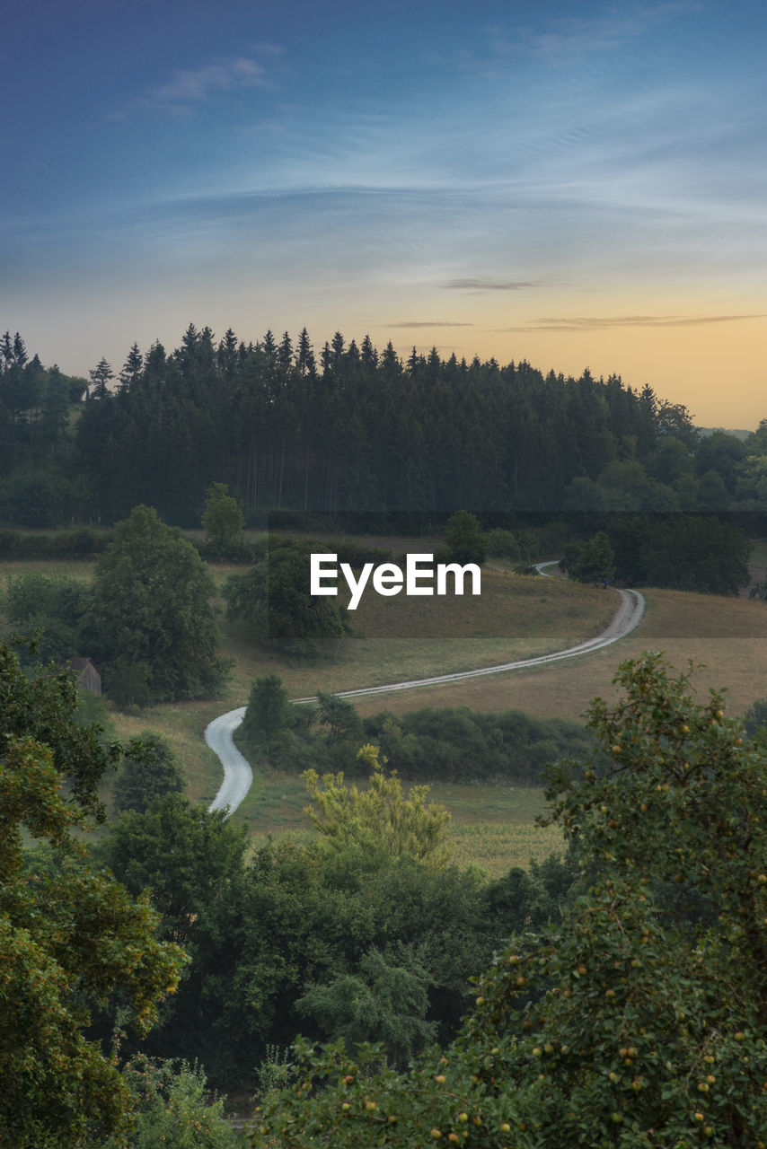 High angle view of trees on landscape against sky
