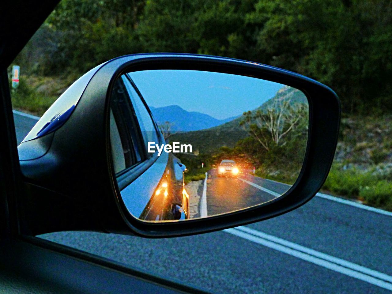 REFLECTION OF TREES IN THE ROAD