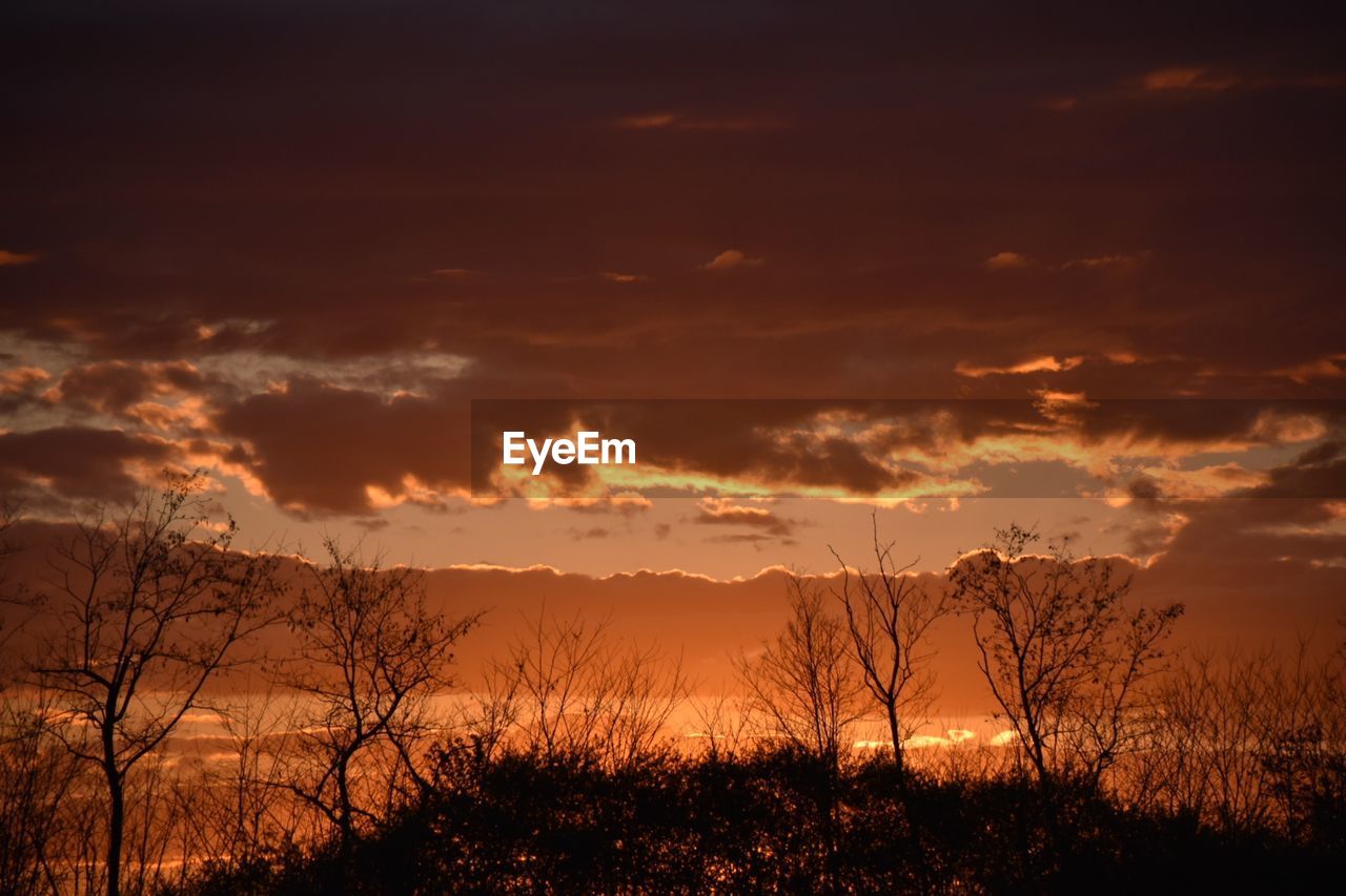 sky, beauty in nature, cloud, sunset, environment, scenics - nature, silhouette, nature, tranquility, landscape, afterglow, plant, orange color, tranquil scene, tree, no people, dramatic sky, land, red sky at morning, evening, dawn, sunlight, outdoors, non-urban scene, horizon, idyllic, atmospheric mood, dark, sun, vibrant color, grass, travel destinations, multi colored, back lit, awe, field, gold, forest, light - natural phenomenon, yellow, travel, copy space, cloudscape, tourism, rural scene