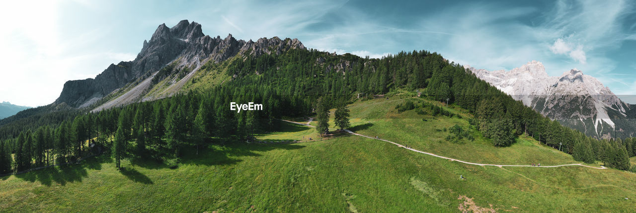 Panoramic view of trees on mountain against sky