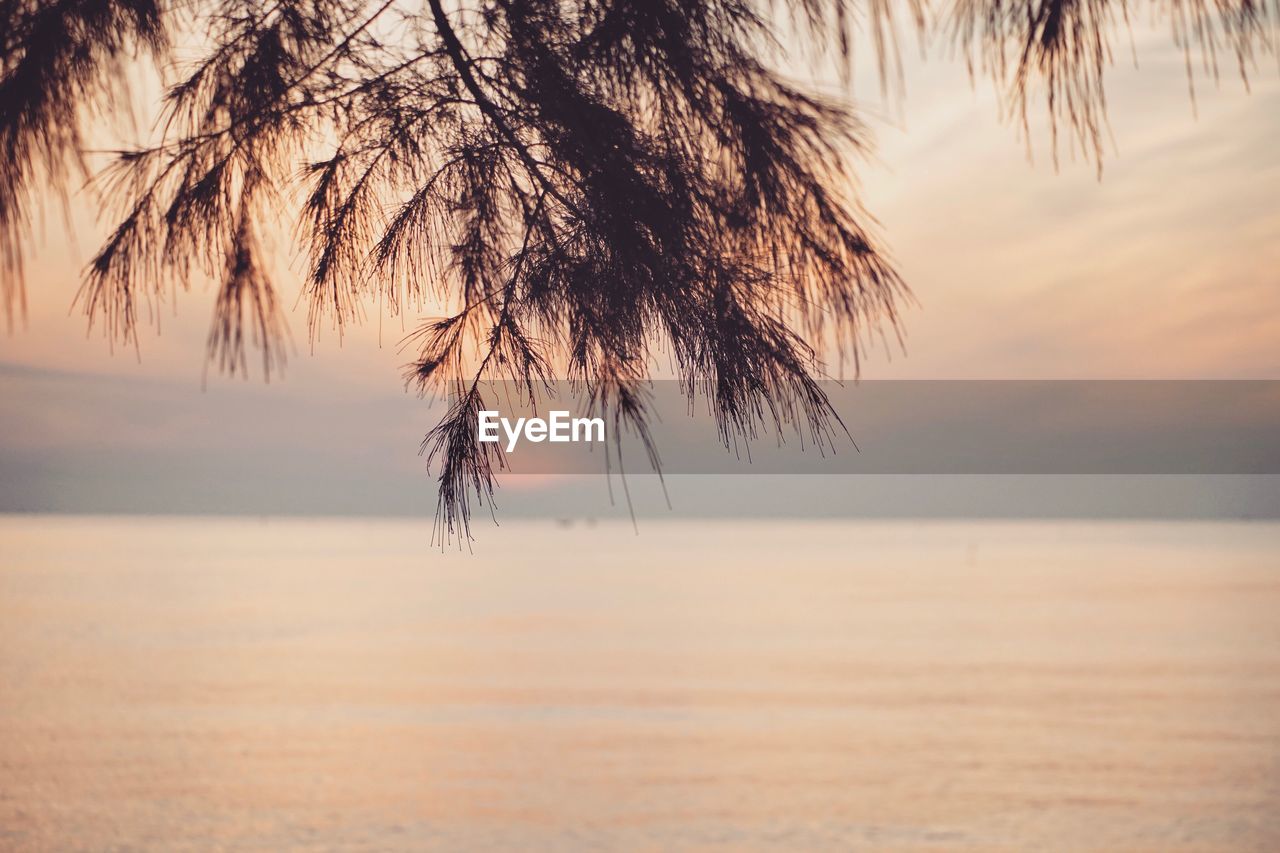 Scenic view of sea against sky at sunset