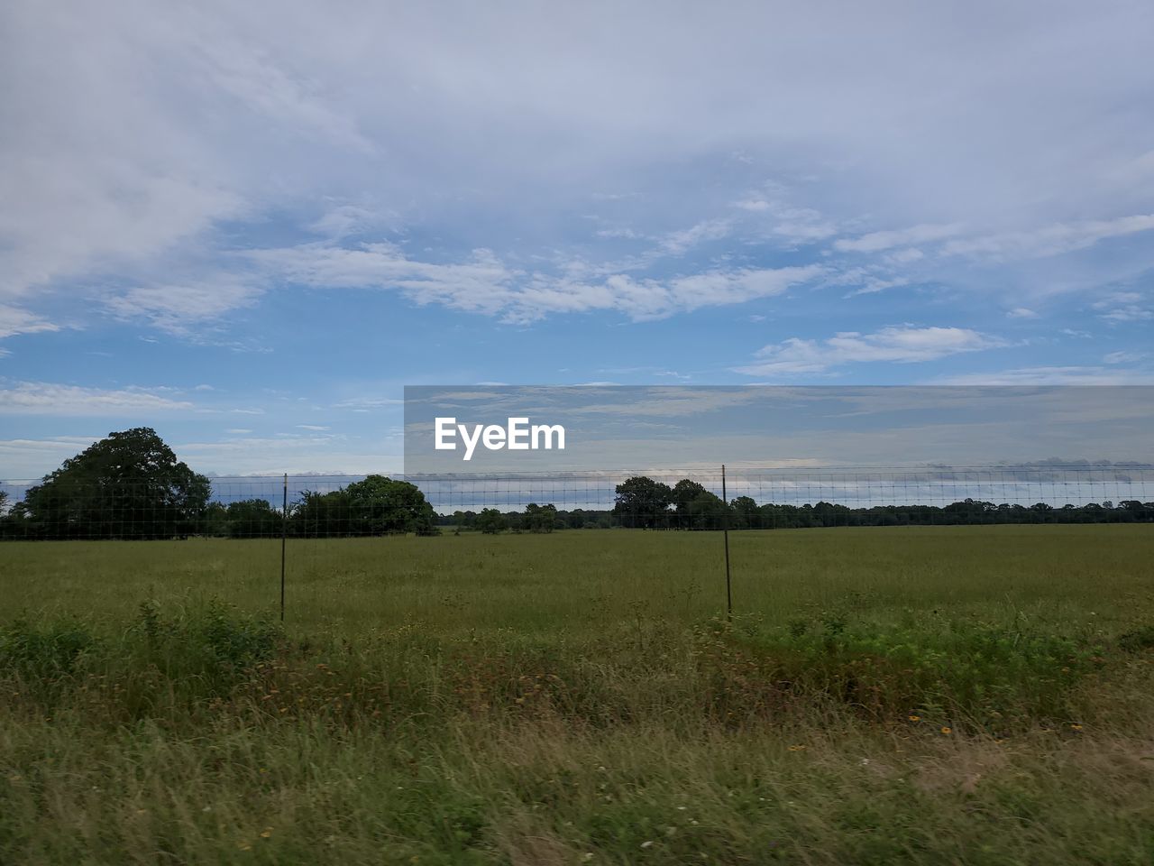 FIELD AGAINST SKY