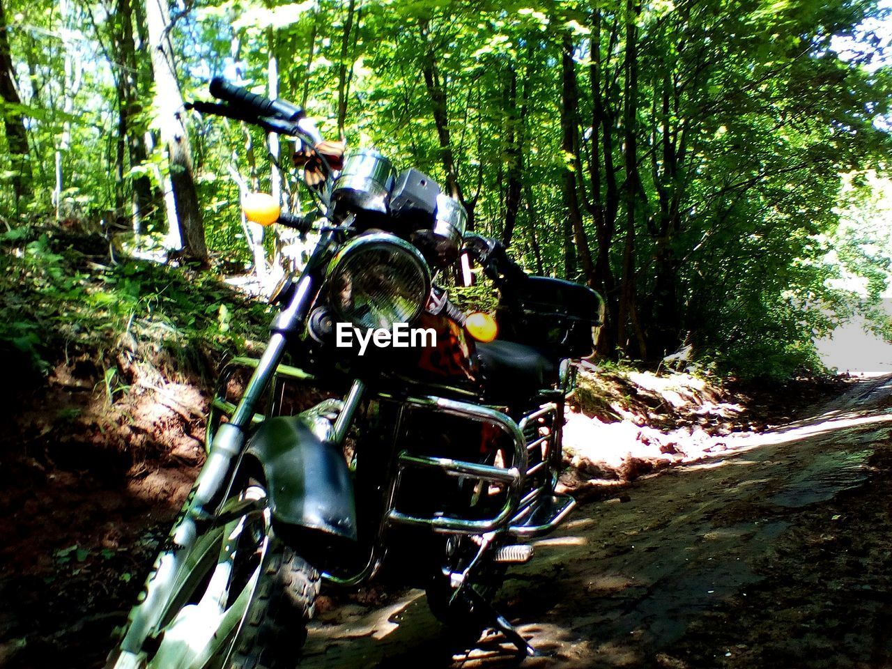 MOTORCYCLE IN FOREST
