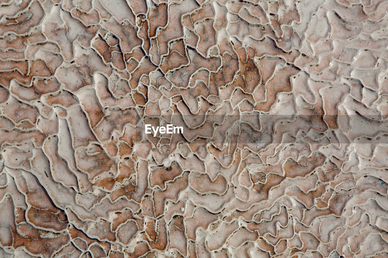 Abstract white background with stone outer ripples of calcium in pamukkale turkey