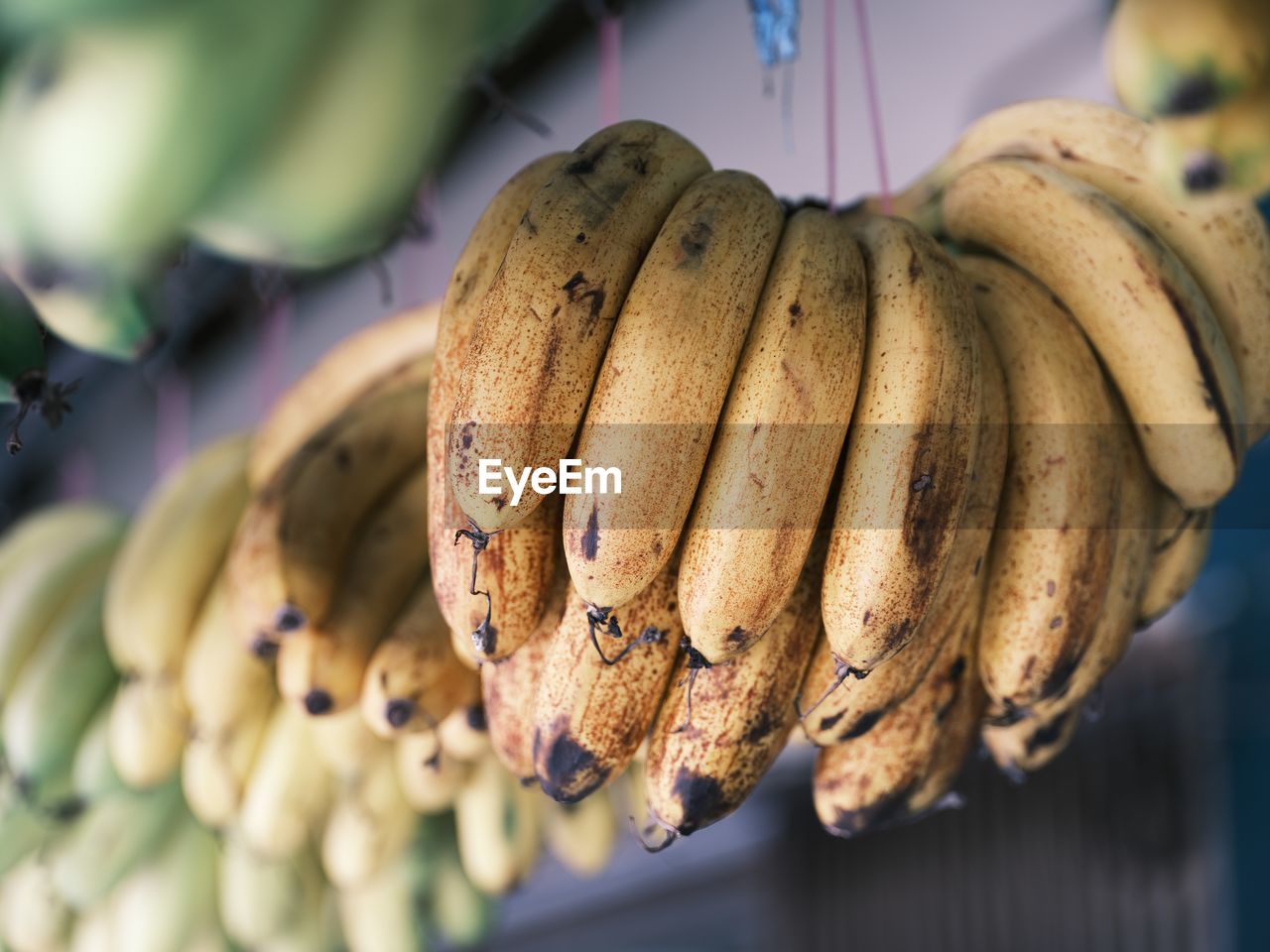 food and drink, food, plant, healthy eating, macro photography, close-up, freshness, produce, flower, wellbeing, fruit, no people, vegetable, nature, agriculture, market, selective focus, hanging, outdoors, organic, retail, day