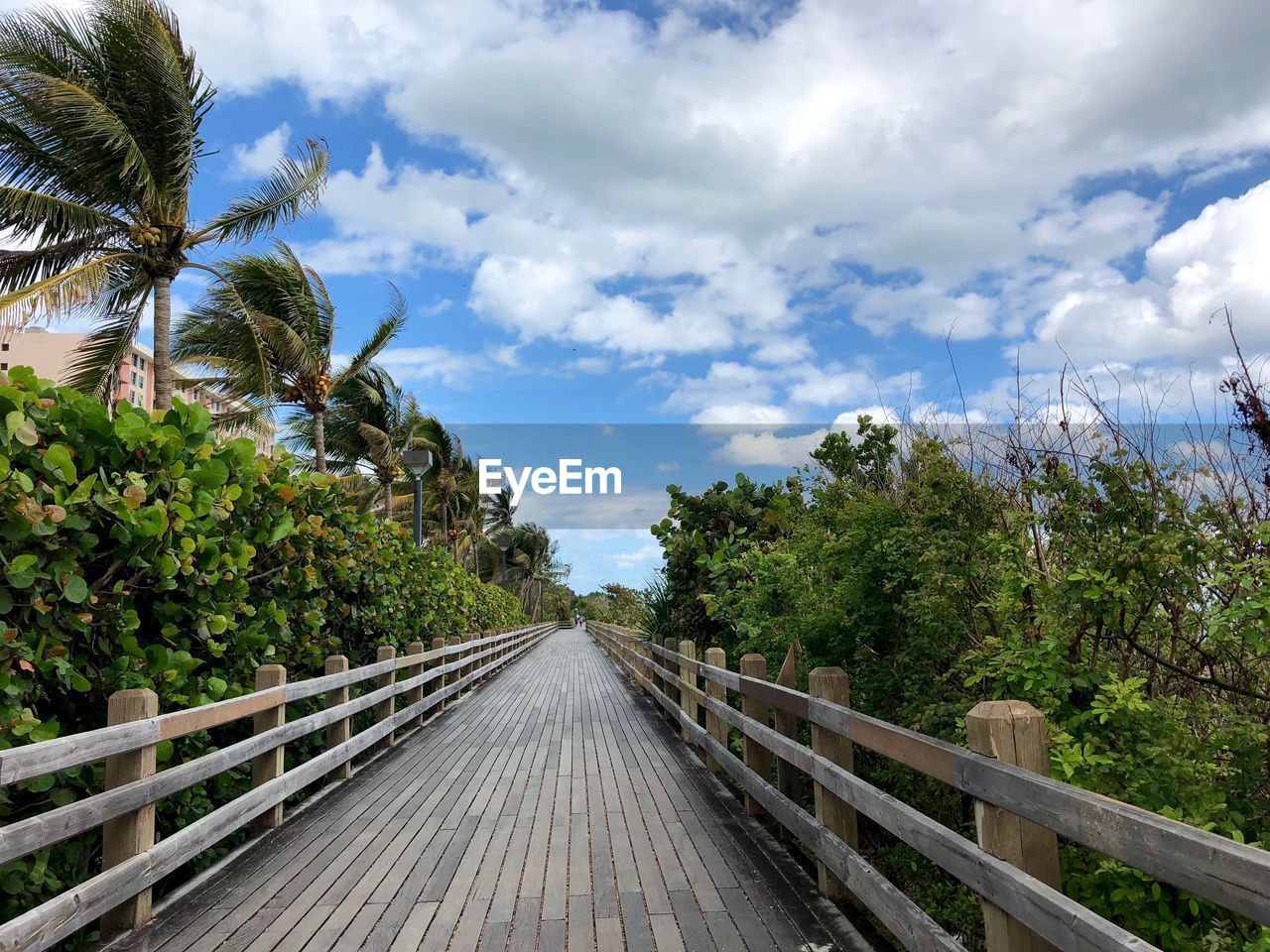Pathway in miami beach 
