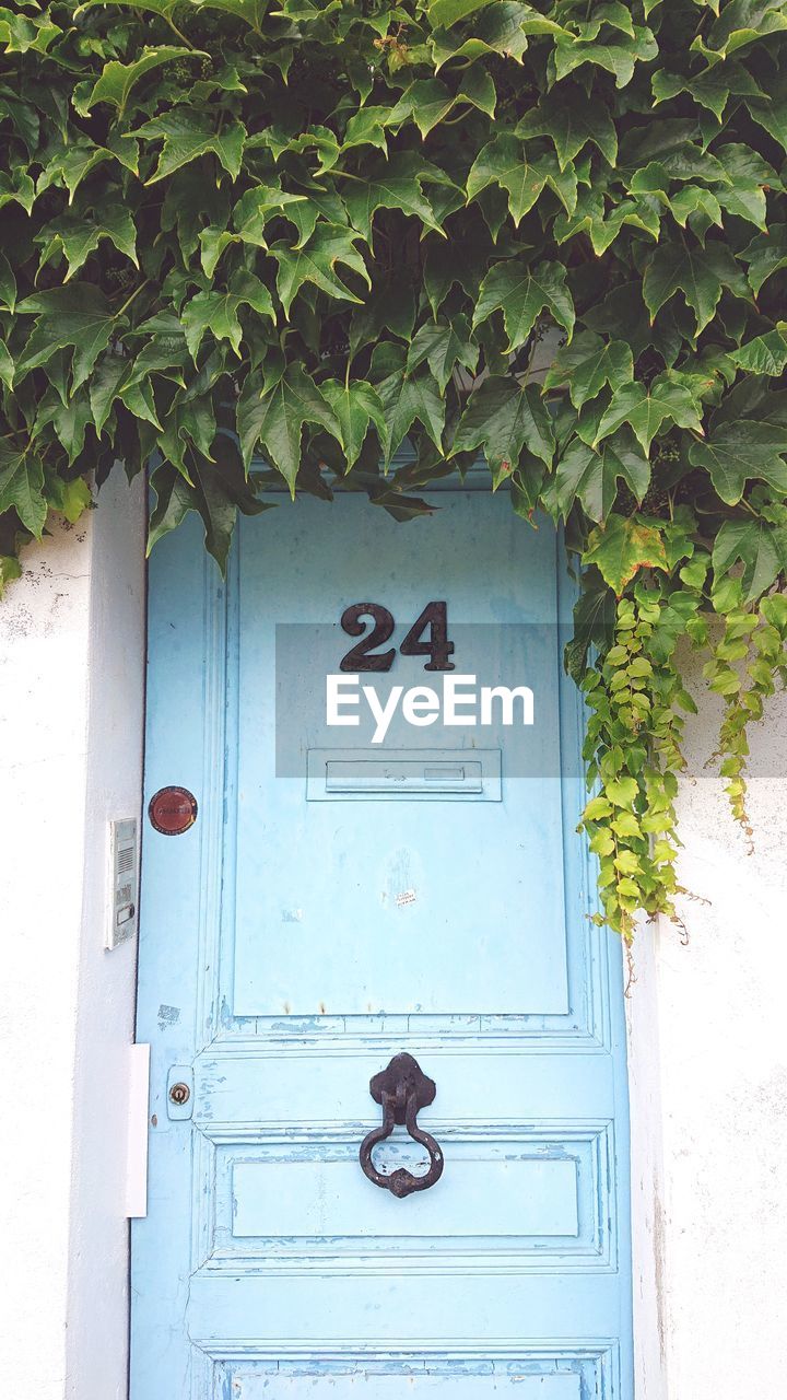 CLOSED DOOR OF HOUSE AND BUILDING