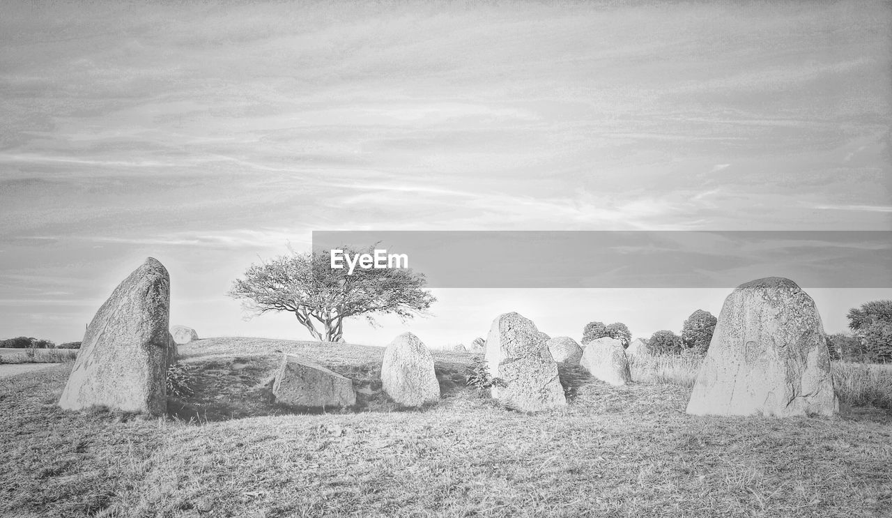 plant, sky, rock, nature, land, grave, landscape, black and white, environment, monochrome photography, tree, cemetery, monochrome, history, field, no people, the past, cloud, rural scene, scenics - nature, outdoors, architecture, ancient, tombstone, tranquility, white, day, beauty in nature, tranquil scene, grass, travel destinations, ancient history, stone material, travel