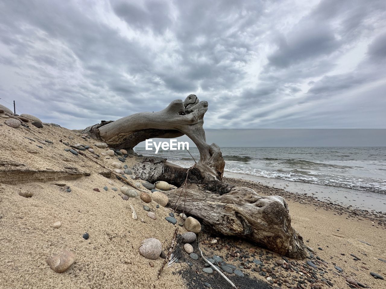 rock, land, sky, sea, beach, sand, cloud, water, nature, coast, shore, beauty in nature, no people, scenics - nature, ocean, driftwood, day, tranquility, animal, outdoors, wave, travel destinations, environment, horizon, horizon over water, statue, animal wildlife, tranquil scene, animal themes, body of water