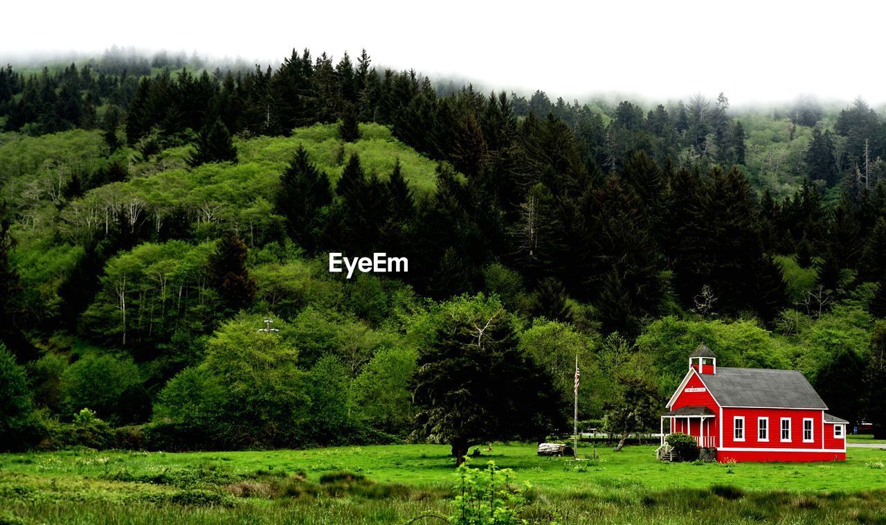 SCENIC VIEW OF TREES AND HOUSES ON FIELD AGAINST SKY