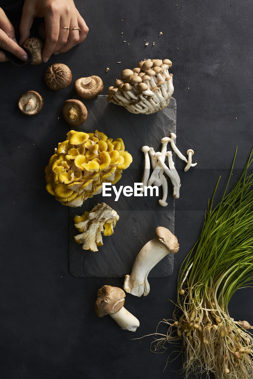 Assortment of fresh raw mushrooms on black slate surface