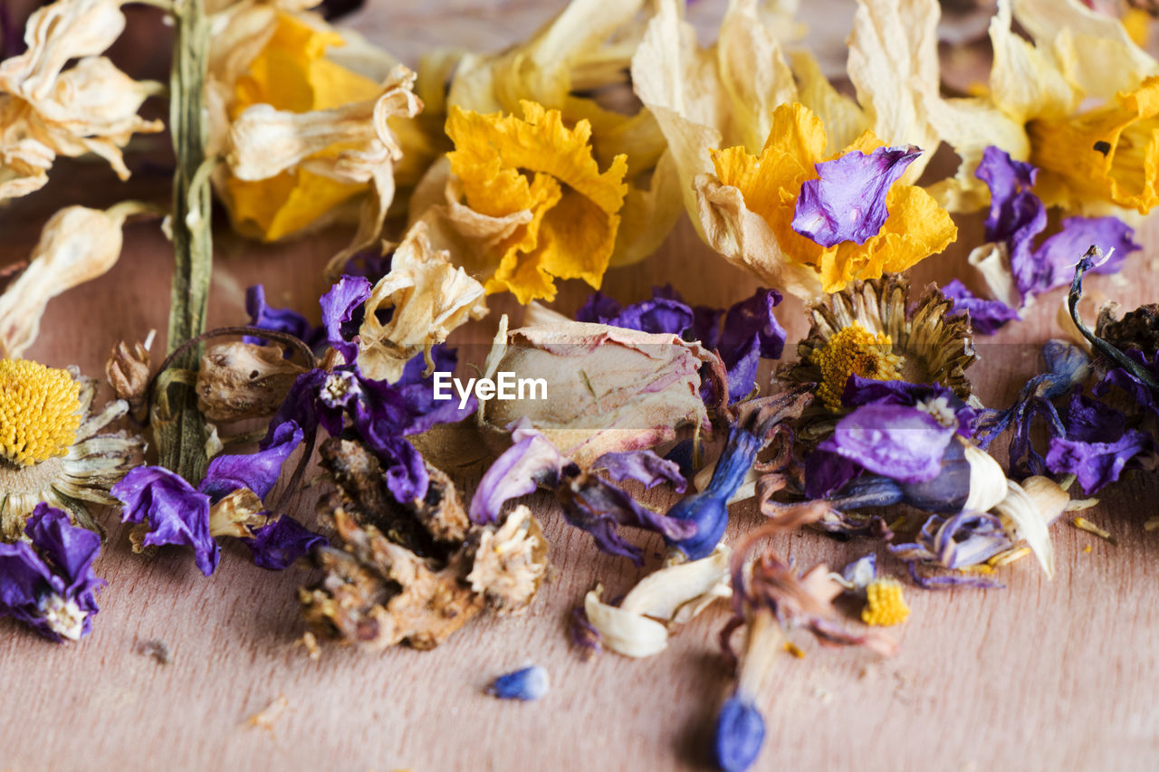 Dry flowers, plants and fruit macro and still life, colorful nature background. 