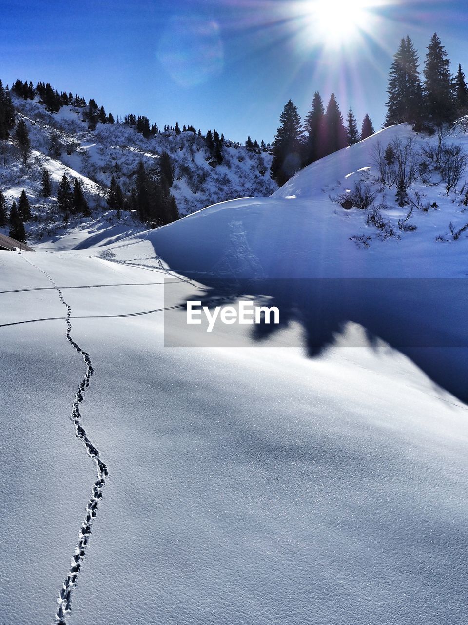 Snow covered landscape against bright sky