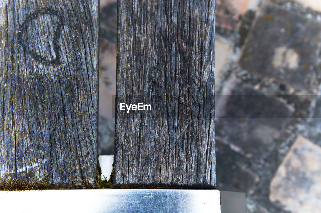 CLOSE-UP OF TREE TRUNK