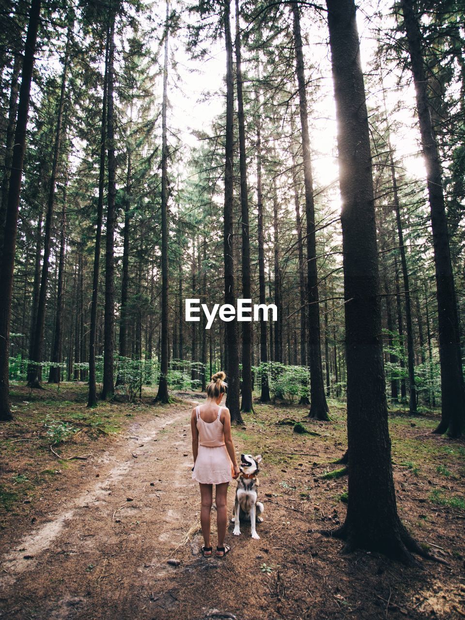 Rear view full length of woman standing with dog at forest