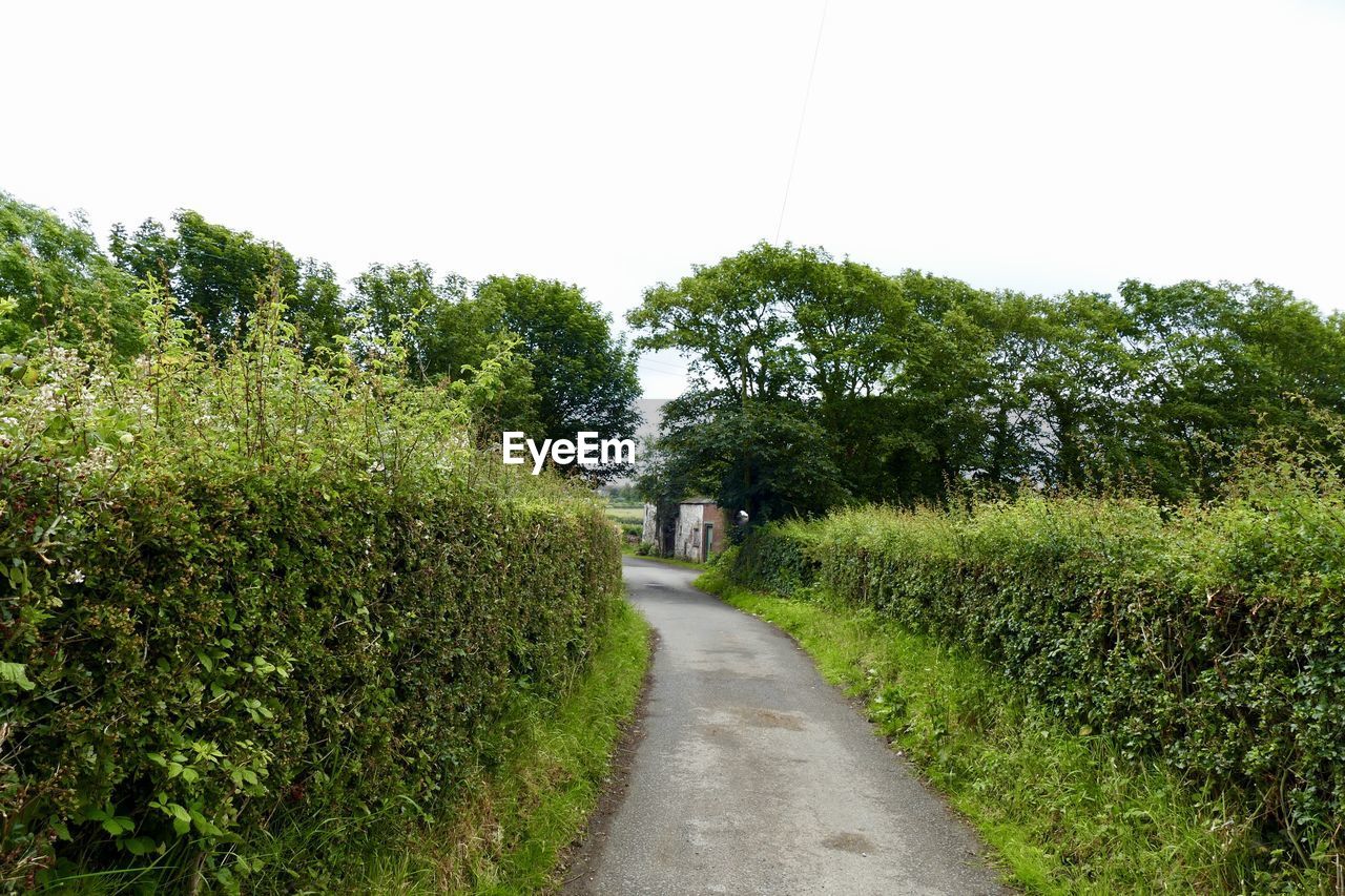 ROAD BY TREES AGAINST SKY