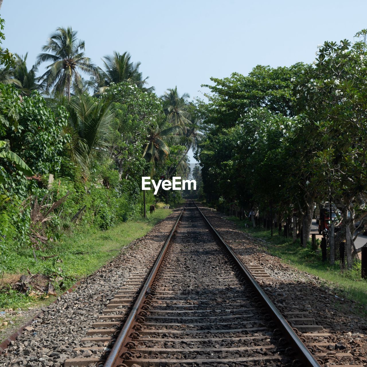 RAILROAD TRACK ALONG TREES