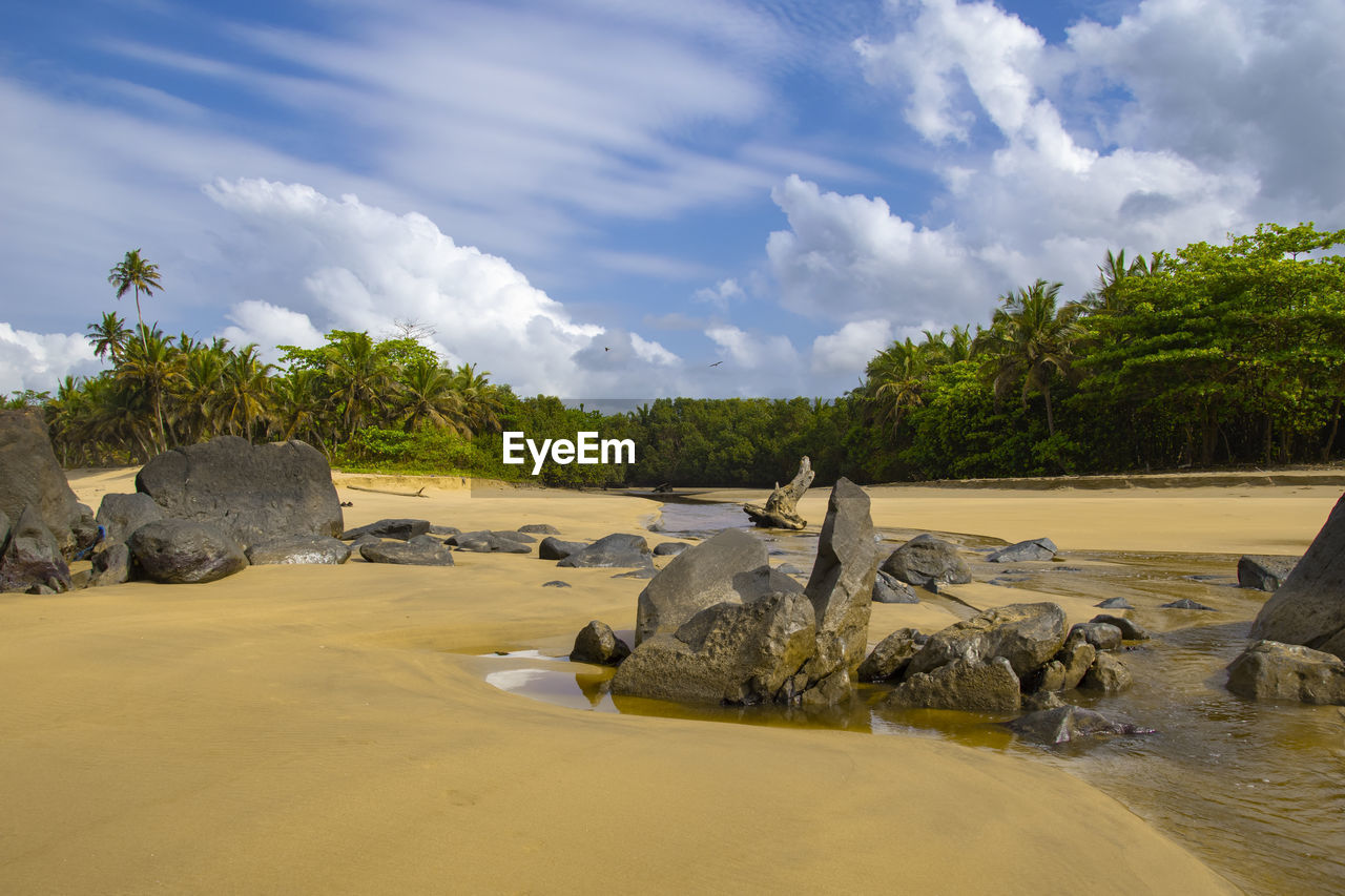 Scenic view of beach against sky