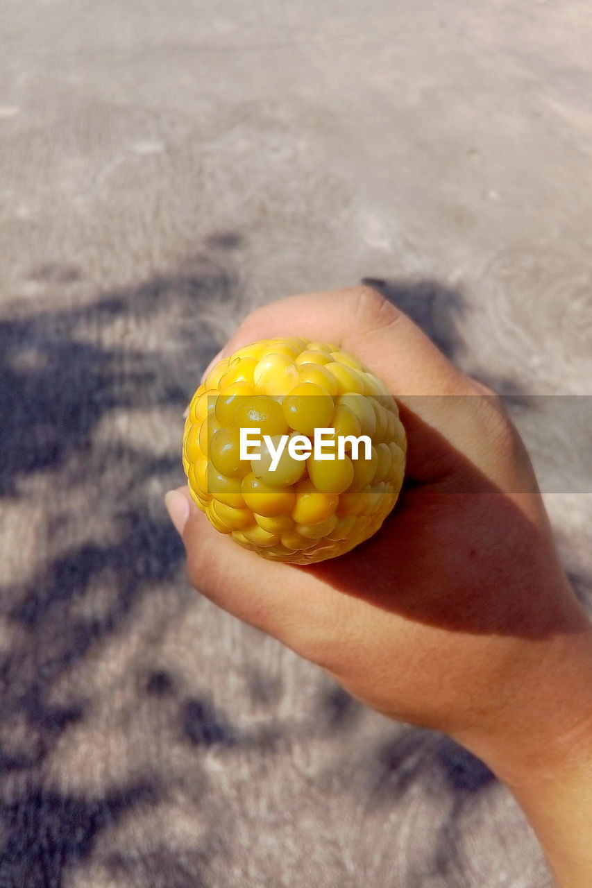 CLOSE-UP OF PERSON HAND HOLDING YELLOW LEAF