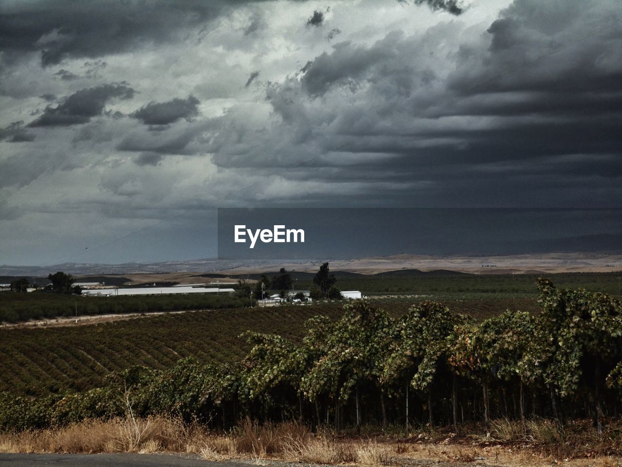 SCENIC VIEW OF FARM AGAINST SKY