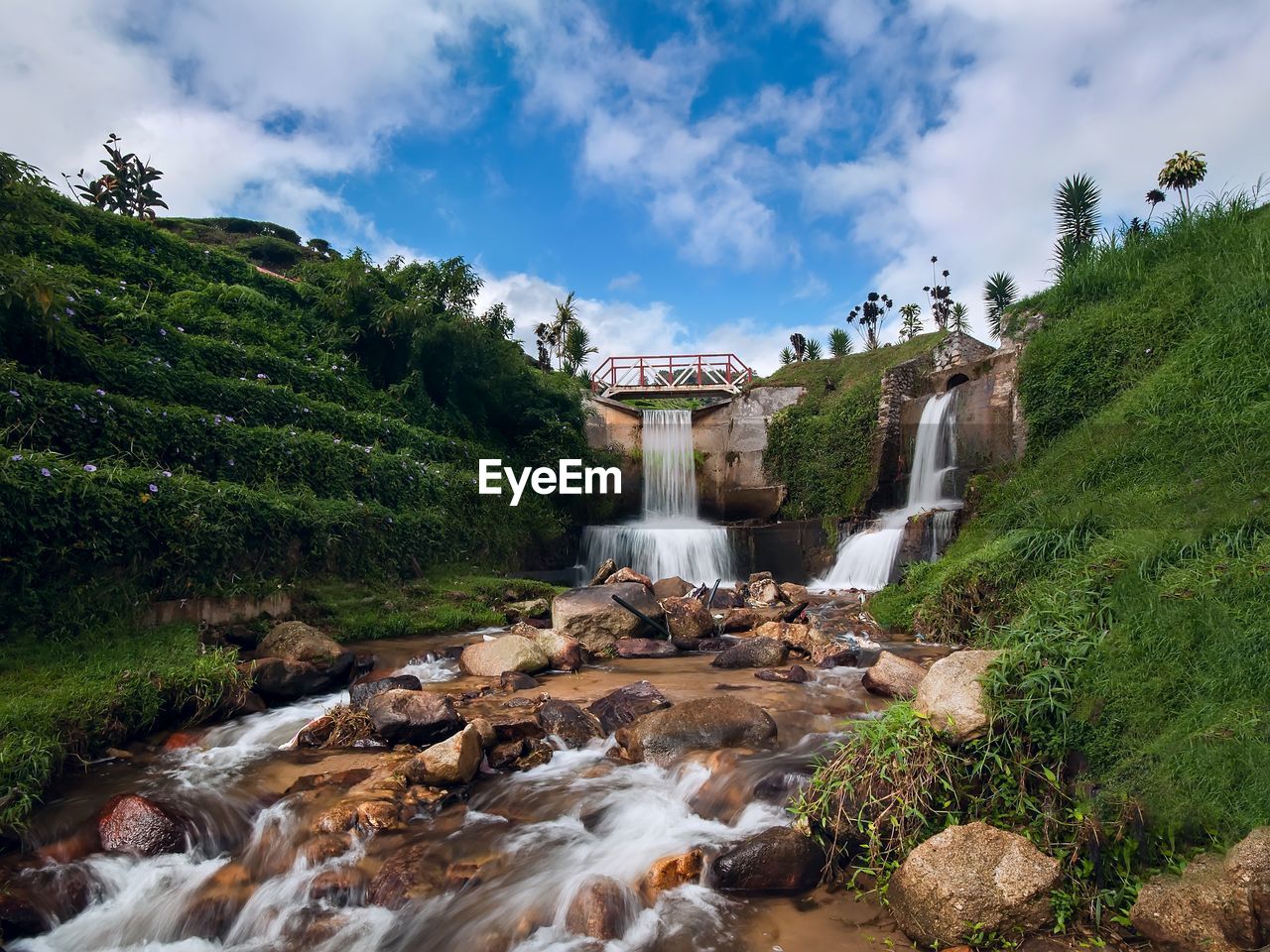 View of waterfall along trees