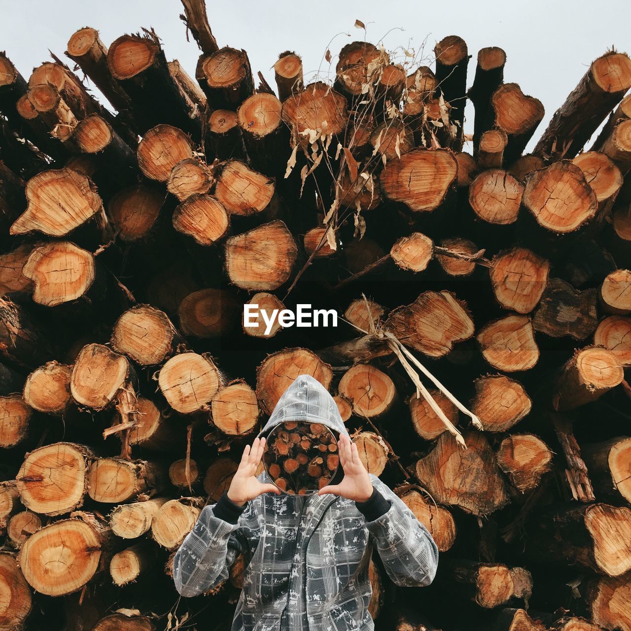 Man holding picture frame while standing against stack of logs