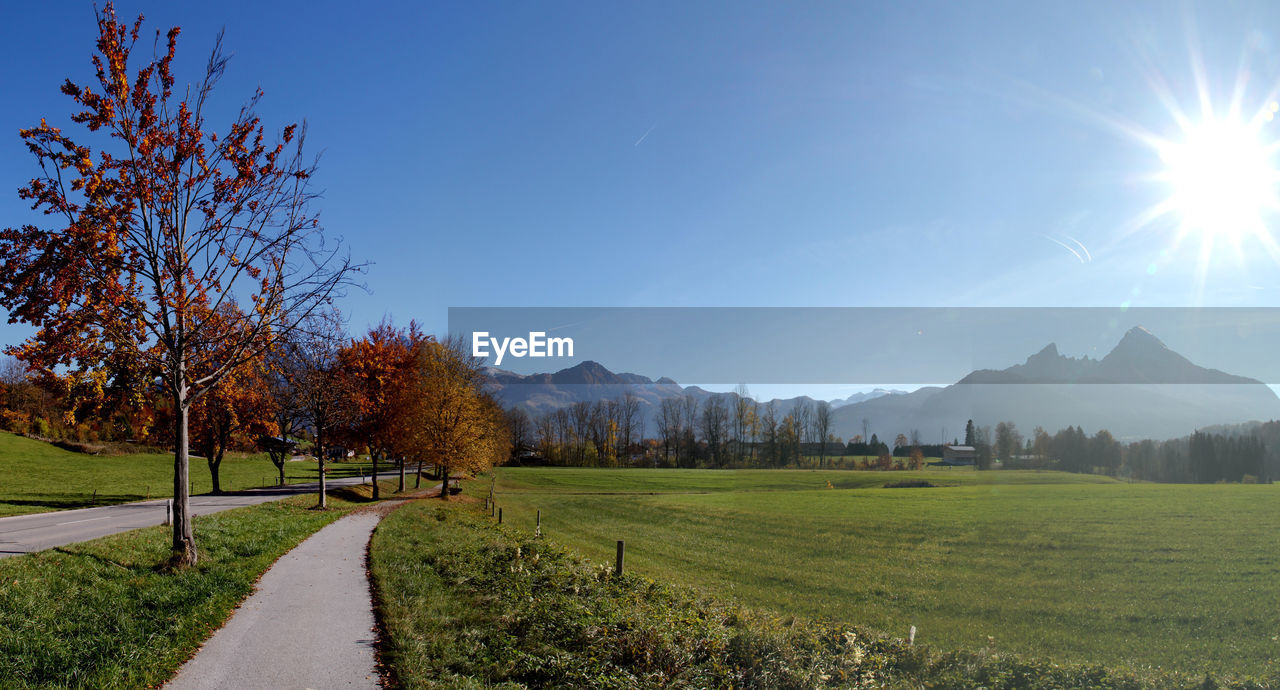 View of trees on landscape against sky