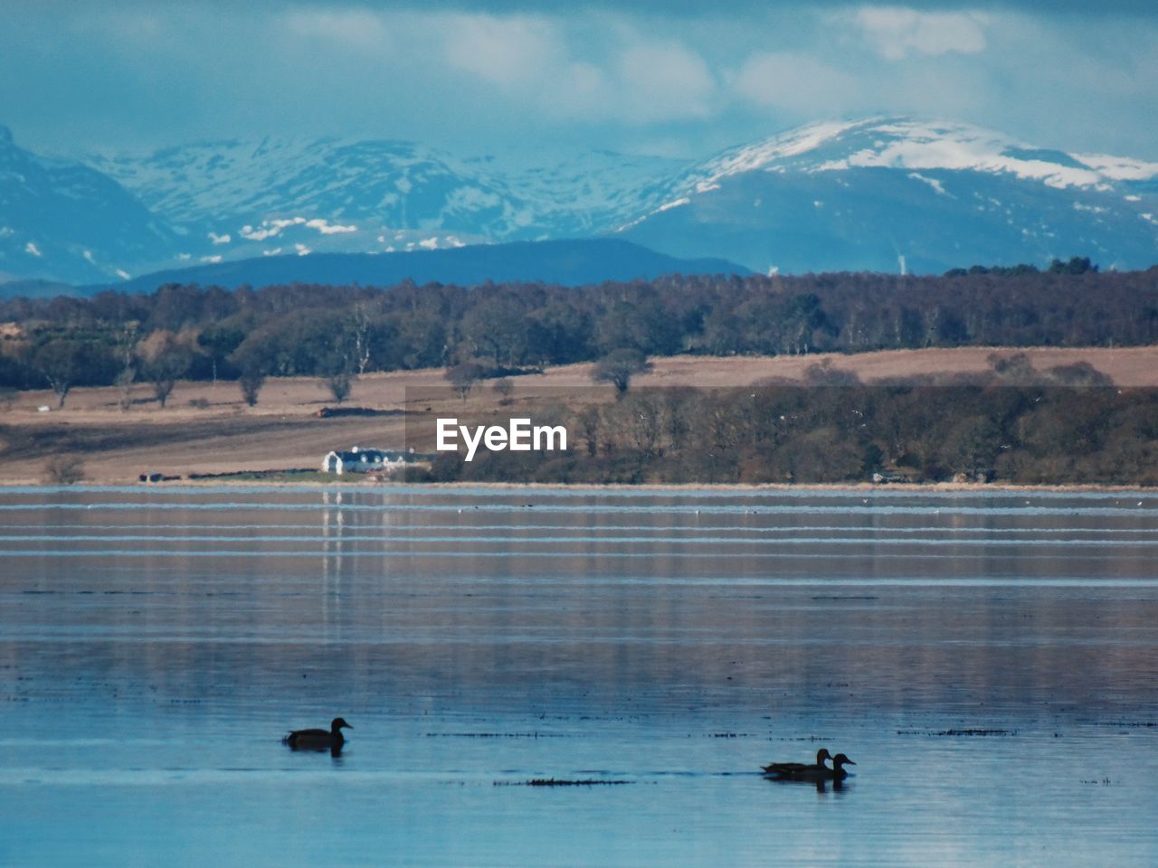 SCENIC VIEW OF LAKE