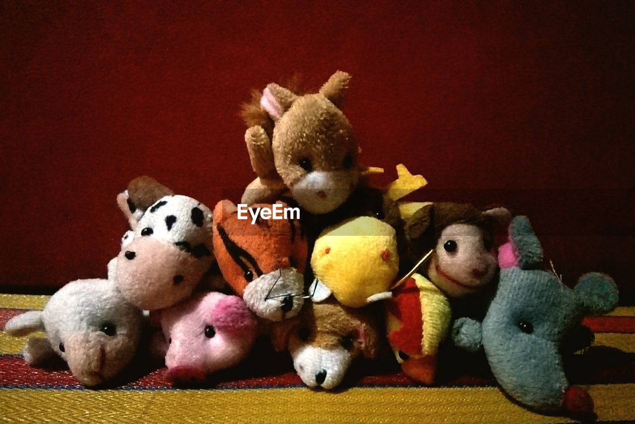 CLOSE-UP OF STUFFED TOY ON TABLE AGAINST WALL