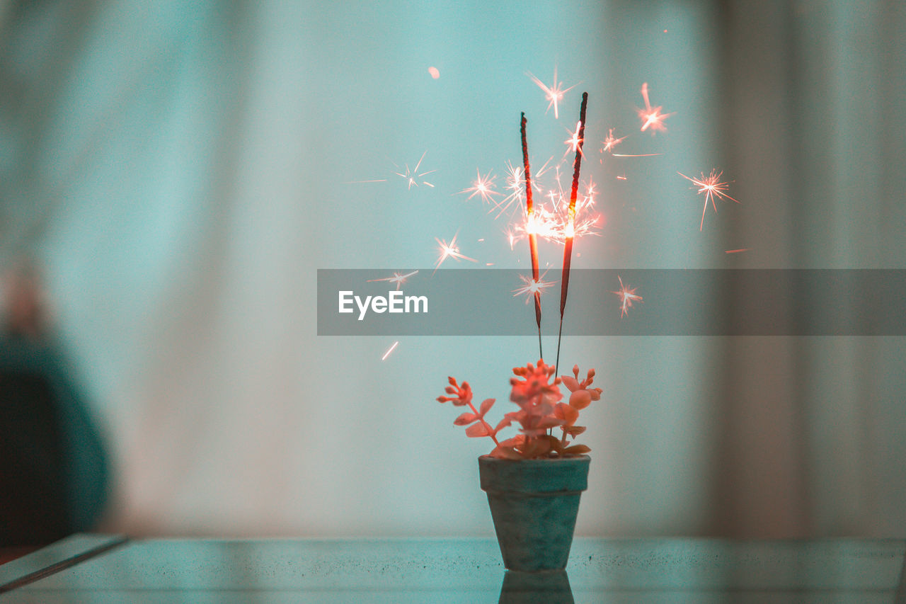 Close-up of illuminated sparklers in potted plant on table at home