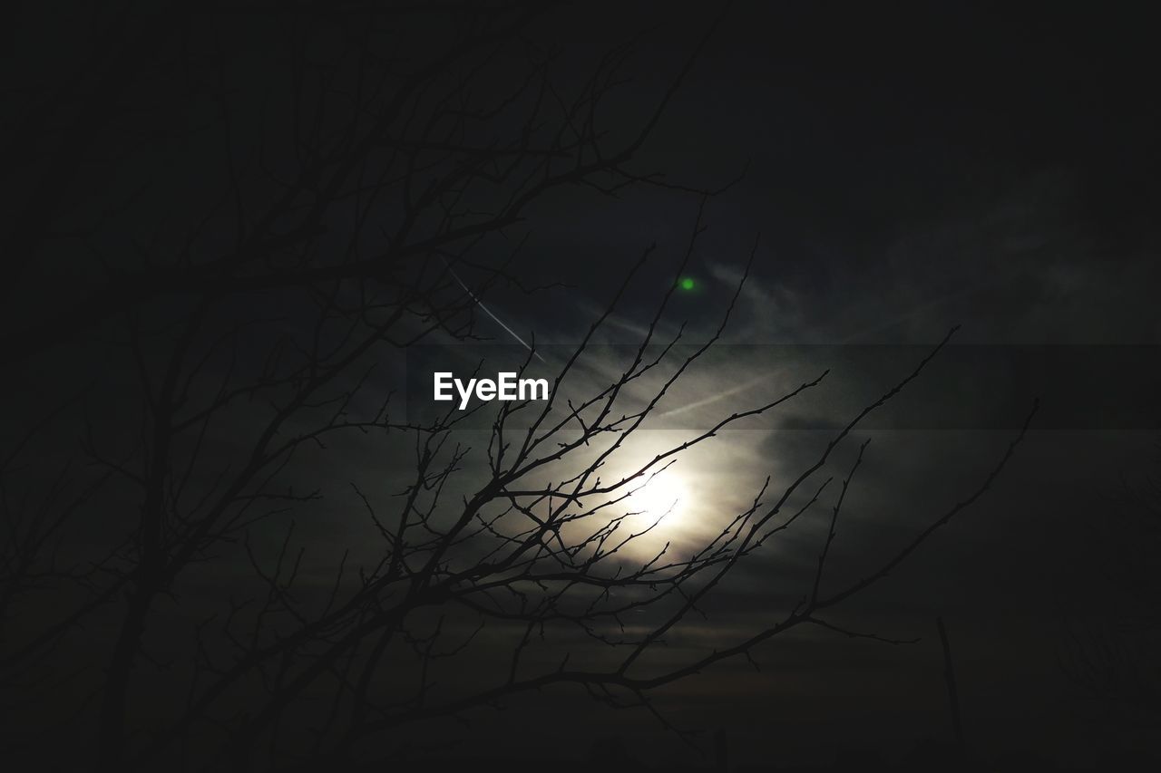 LOW ANGLE VIEW OF SILHOUETTE BARE TREE AT NIGHT