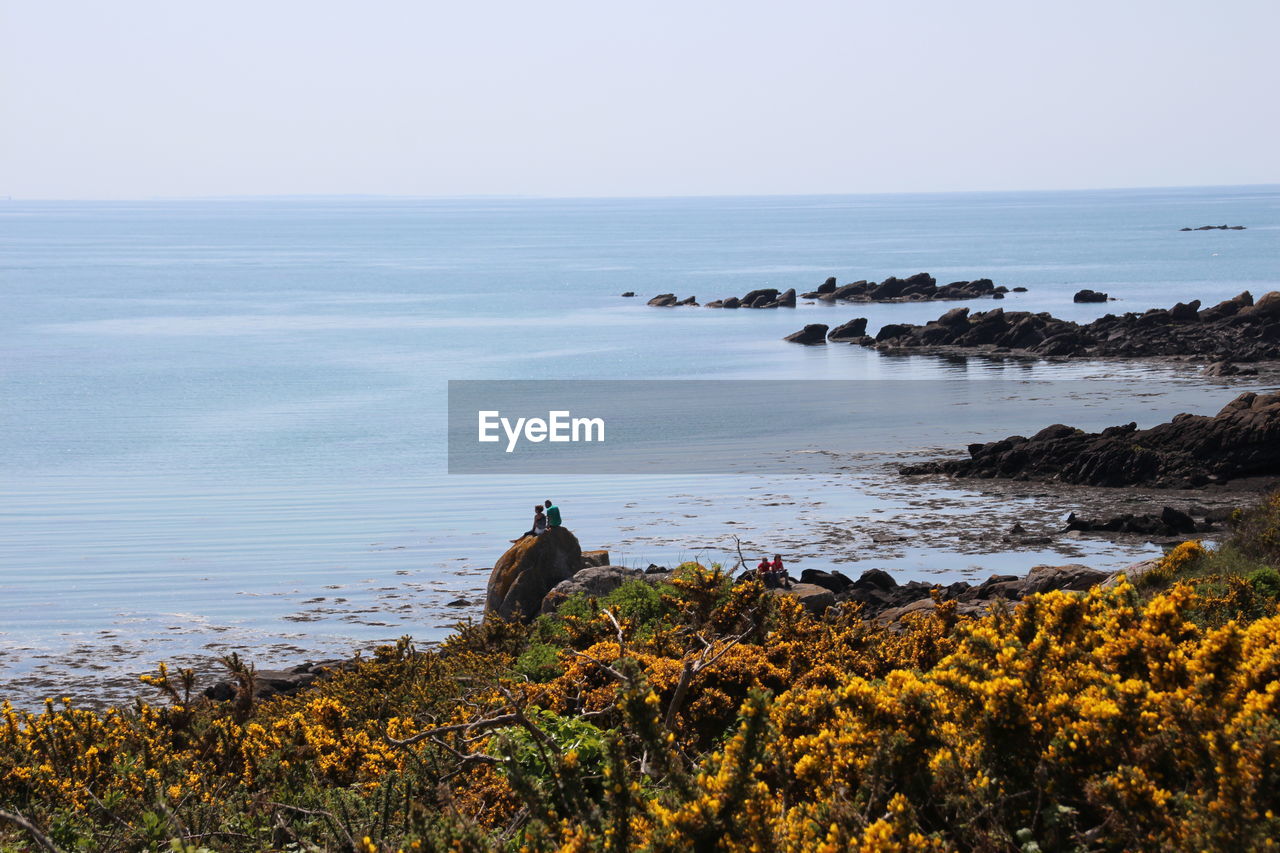 People sitting on rock at shore against clear sky