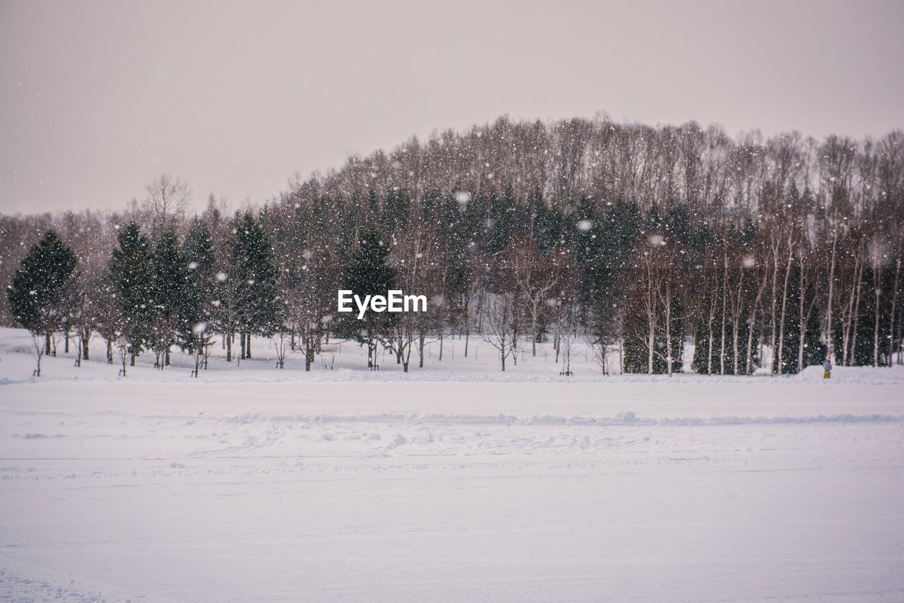 TREES GROWING ON SNOW COVERED FIELD AGAINST SKY