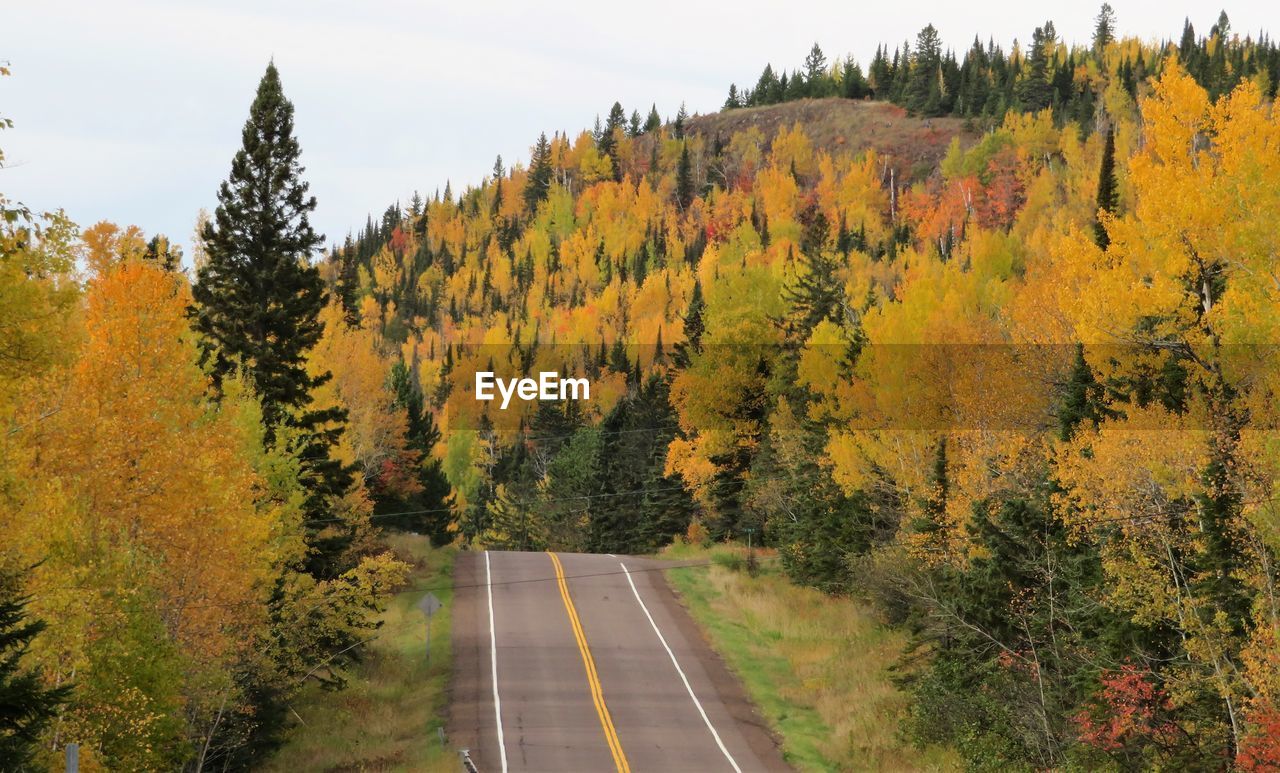 DIRT ROAD AMIDST TREES DURING AUTUMN