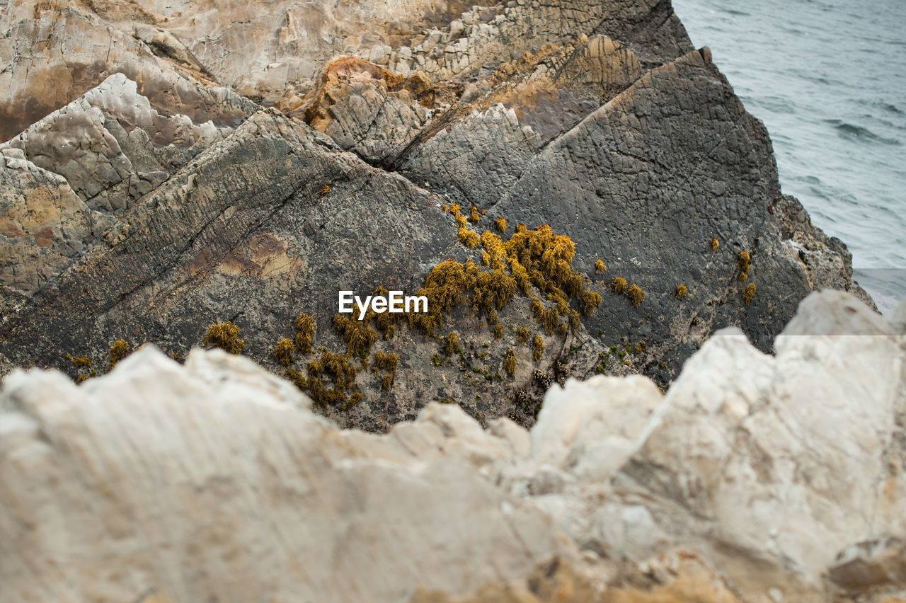 High angle view of rock formation by sea