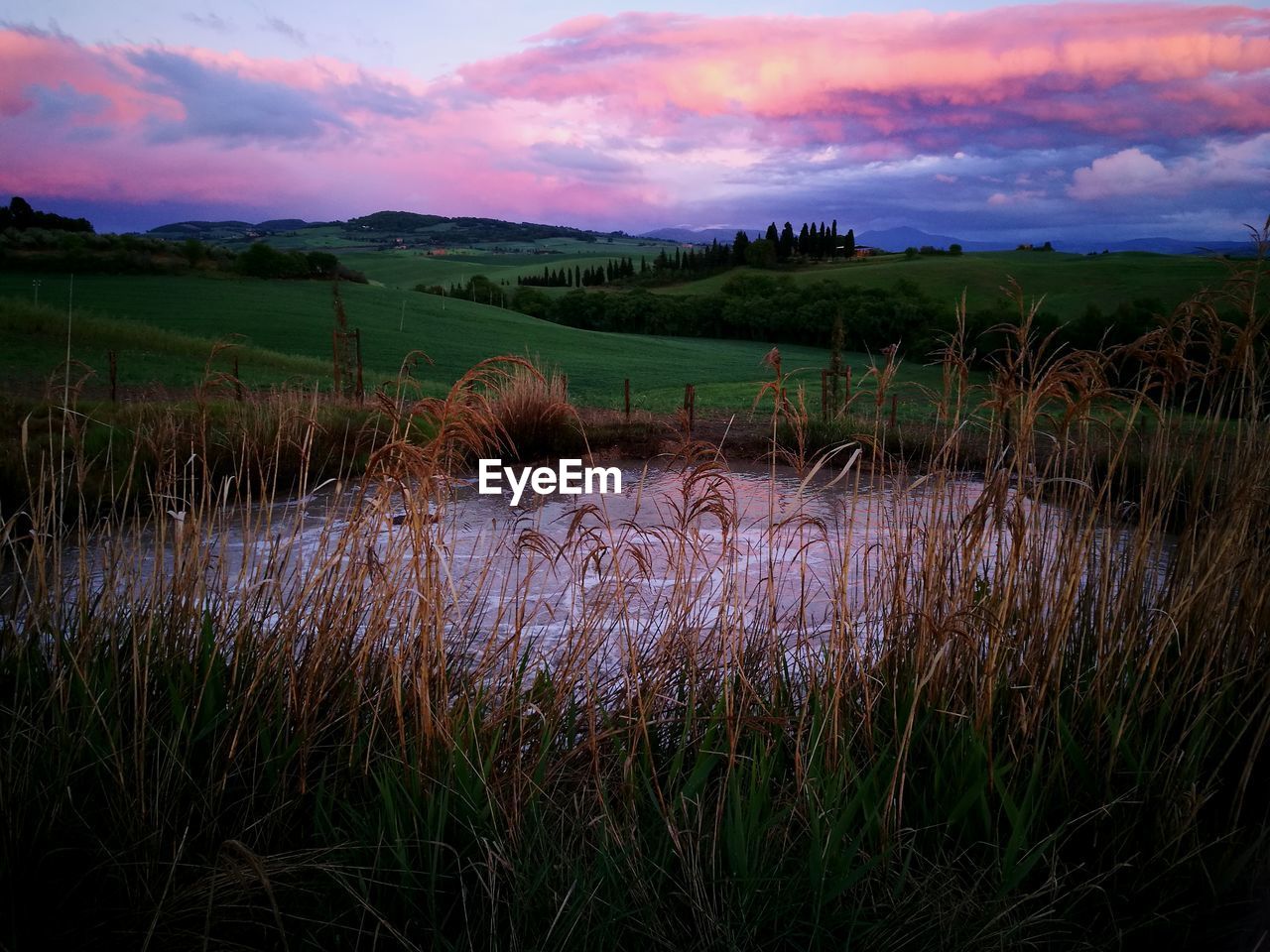 Scenic view of field against sky during sunset