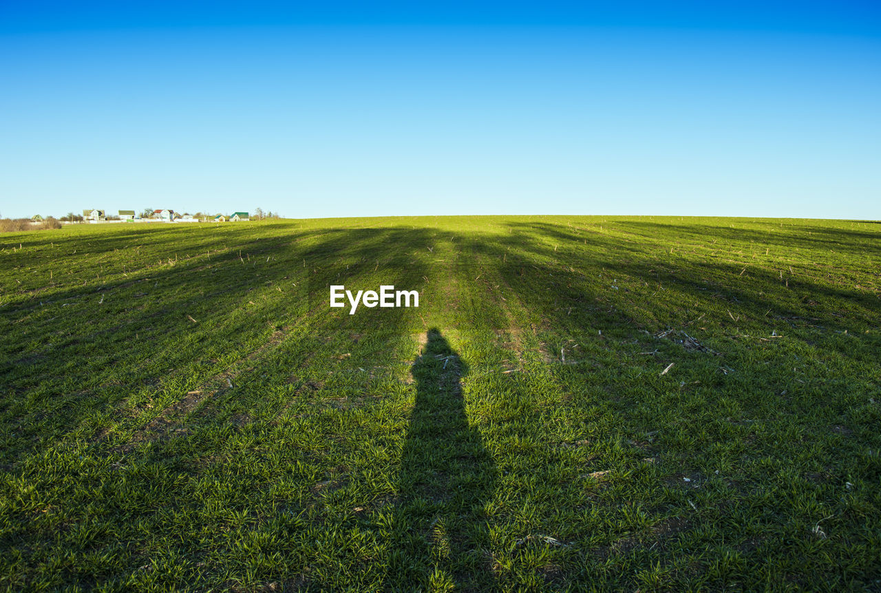 Scenic view of grassy field against clear sky