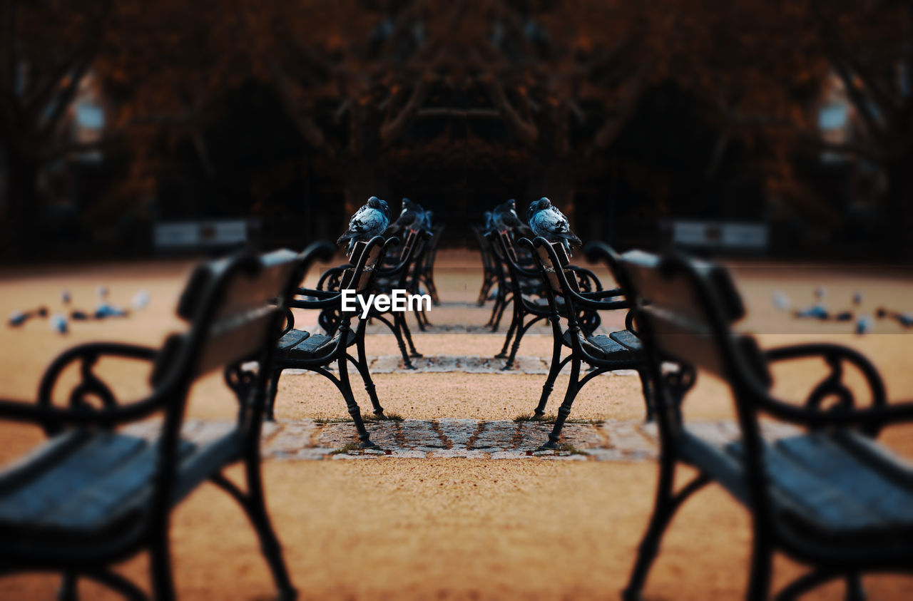 EMPTY BENCH IN PARK DURING AUTUMN