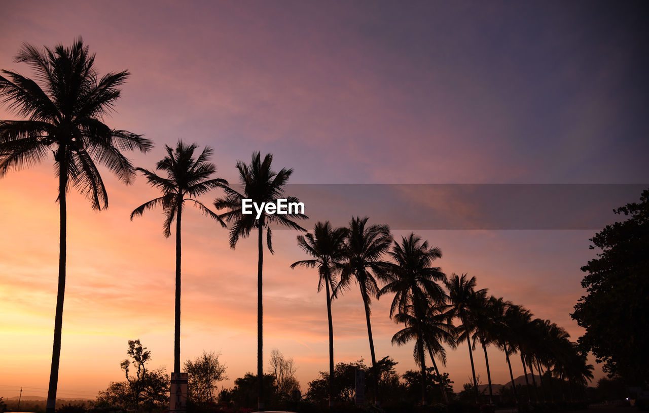 Silhouette palm trees against romantic sky at sunset