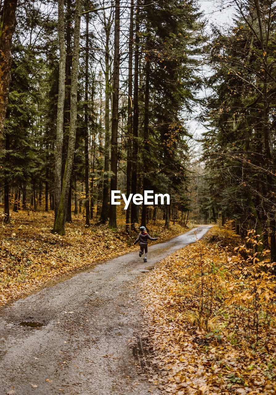 Rear view of girl running on road amidst trees in forest