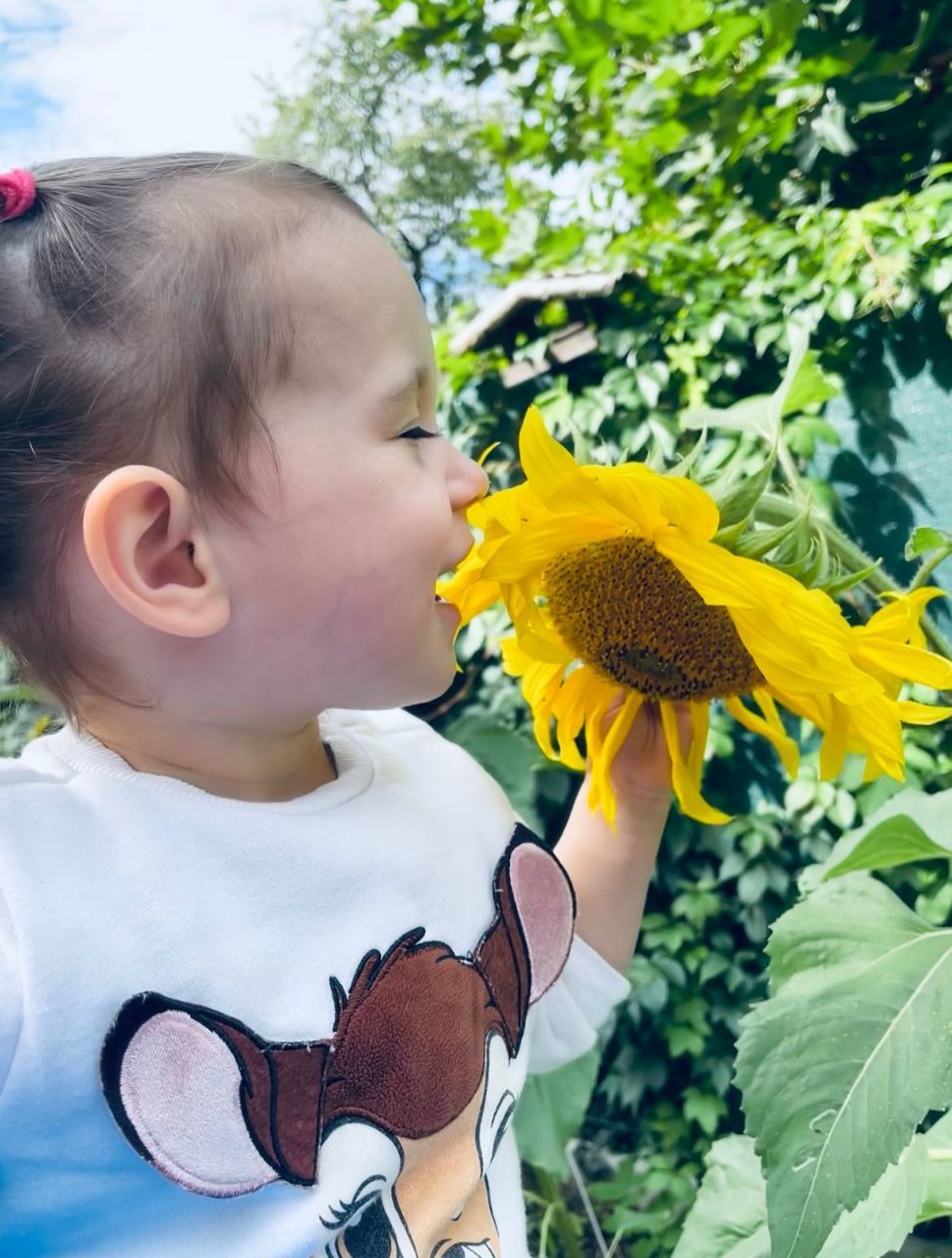 child, childhood, flower, plant, one person, nature, toddler, flowering plant, yellow, baby, sunflower, spring, holding, innocence, freshness, growth, person, day, leisure activity, emotion, beauty in nature, outdoors, women, casual clothing, happiness, cute, lifestyles, smiling, looking, female, portrait, standing, headshot, clothing, fun, leaf, summer, plant part, waist up, flower head