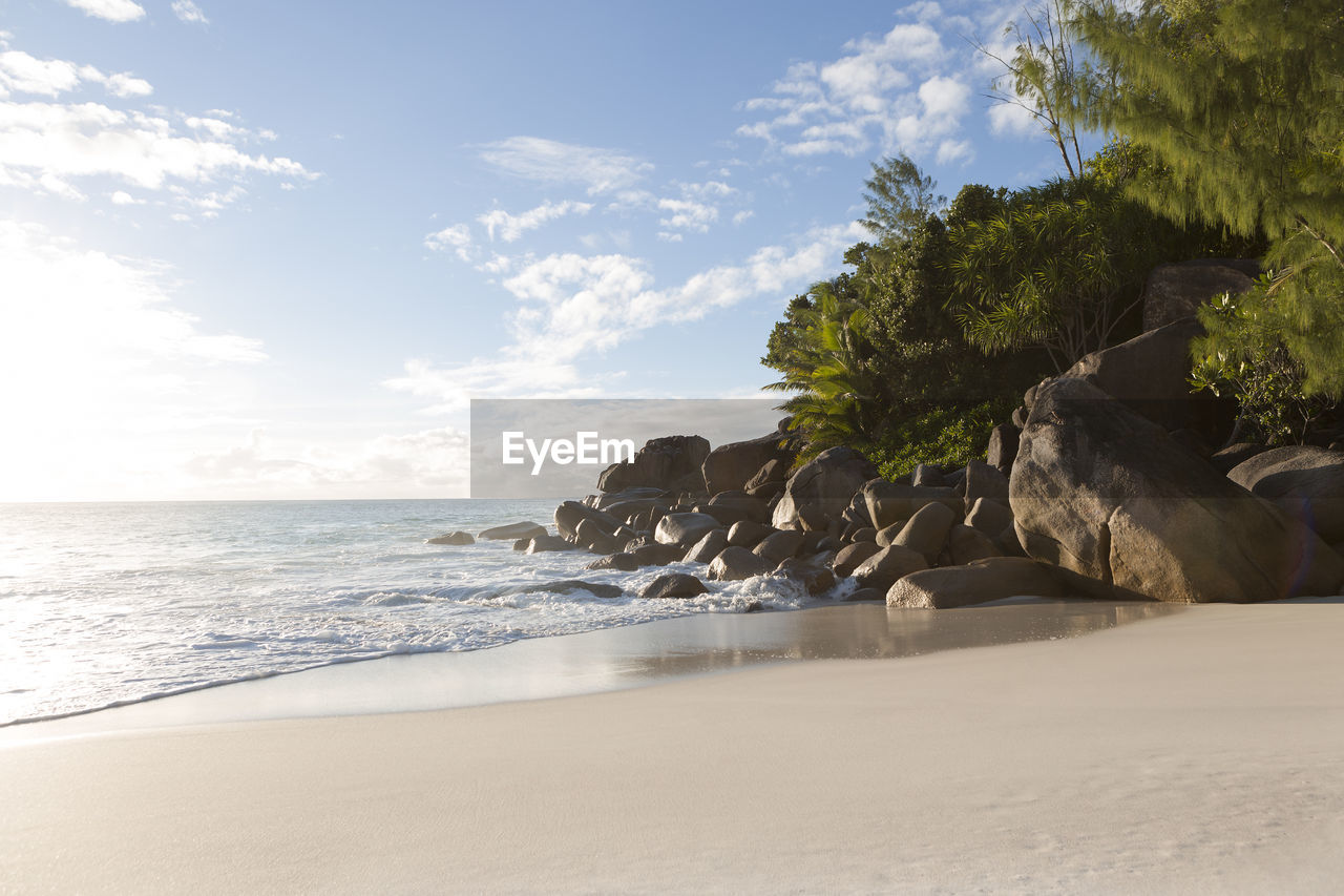 land, sea, beach, water, sky, sand, nature, scenics - nature, beauty in nature, shore, body of water, cloud, tranquility, tree, ocean, tropical climate, coast, tranquil scene, horizon over water, travel destinations, vacation, holiday, horizon, coastline, trip, environment, palm tree, wave, plant, travel, idyllic, sunlight, outdoors, no people, day, seascape, motion, landscape, summer, water's edge, bay, water sports, island, sports, rock, tourism, singing sand, blue